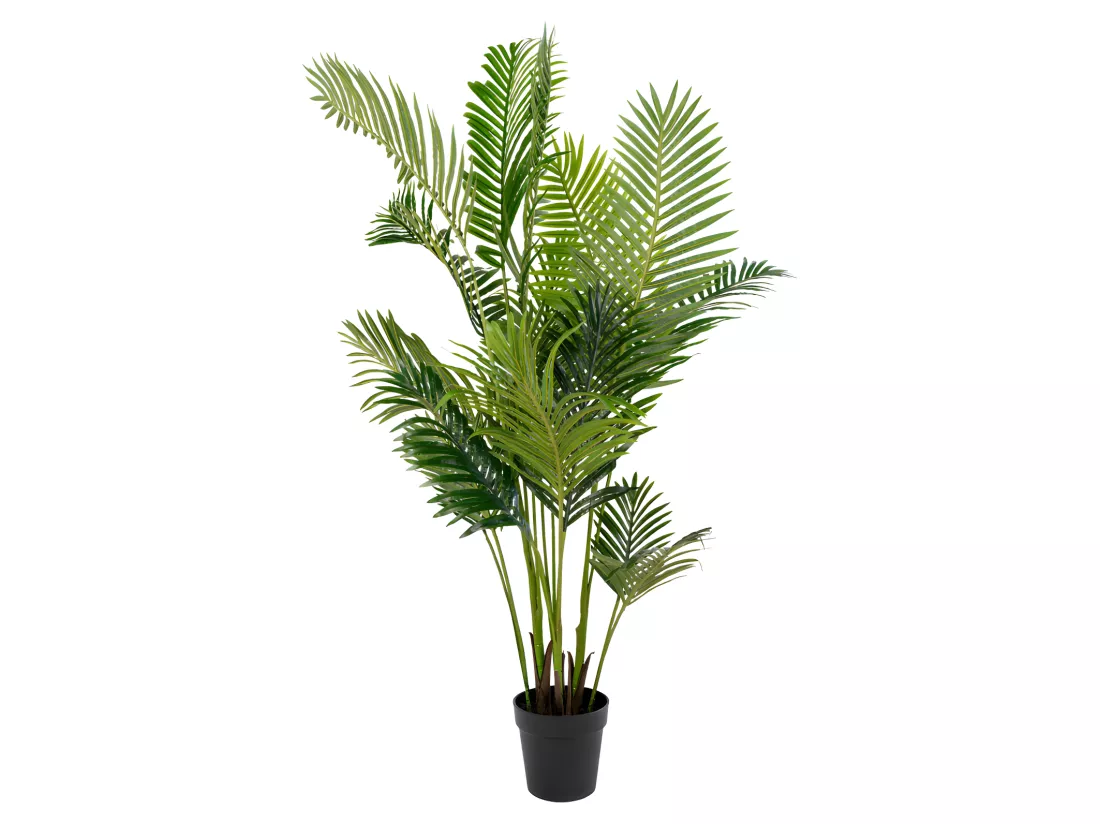 Areca Palm - Plante artificielle H175 cm : Couleur - Vert