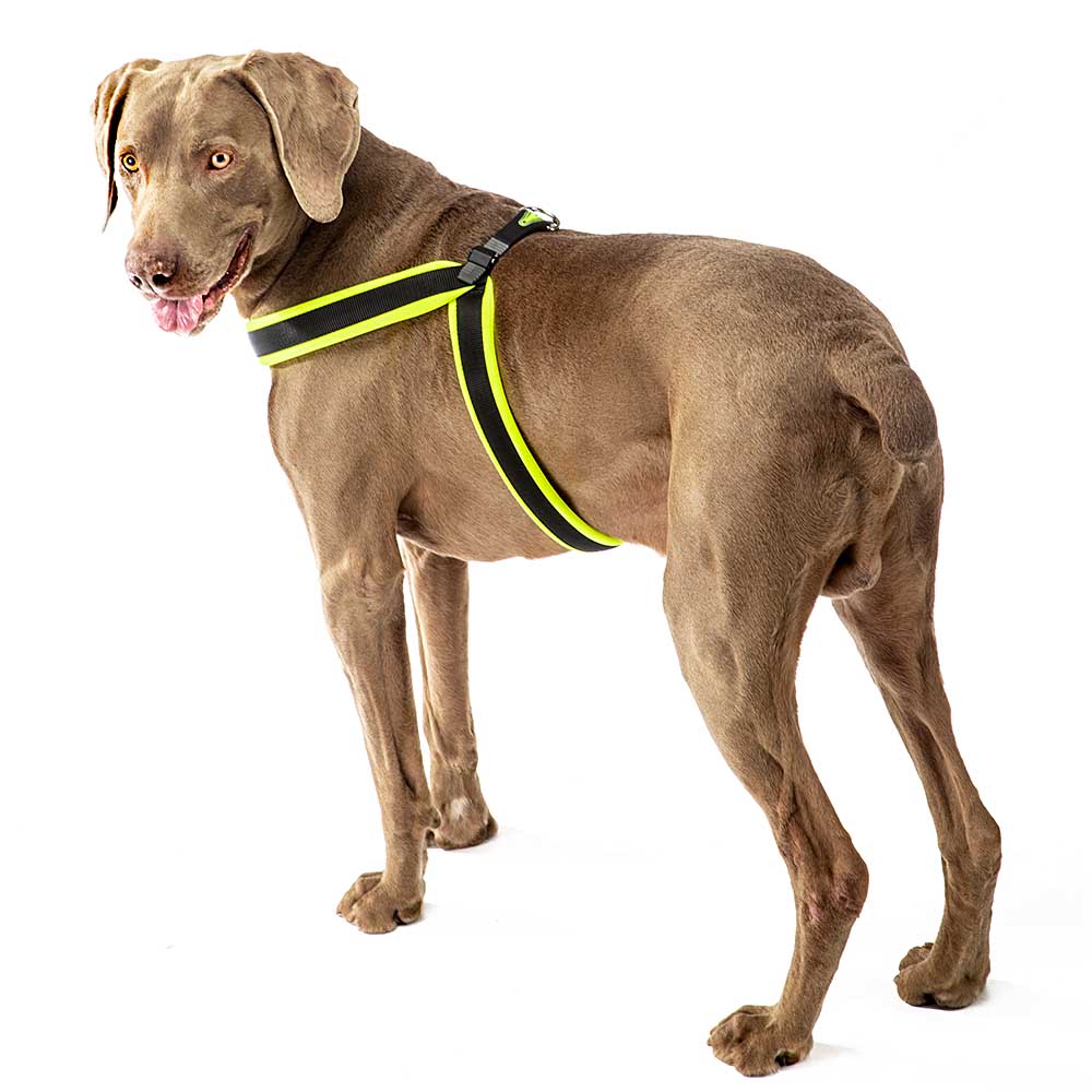 Ferplast harnais ergonomique pour chiens agila fluo 7, ajustement parfait, fermeture à double micro-régulation, rembourrage