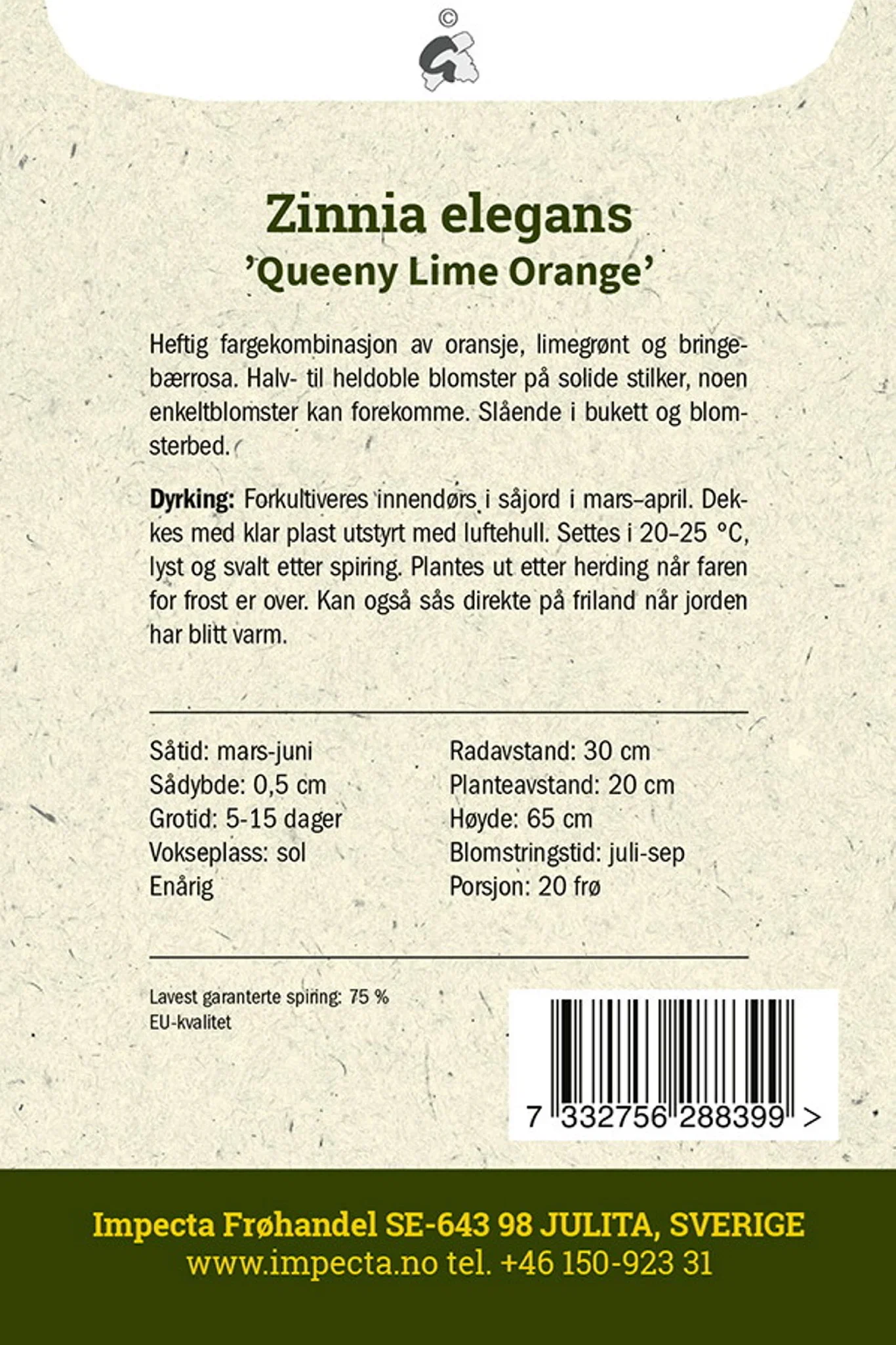 Zinnia elegans 'Queeny Lime Orange' Sinnia 'Queeny Lime Orange'