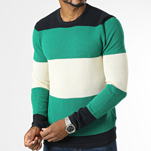 Pull Panter Bleu Marine Beige Vert