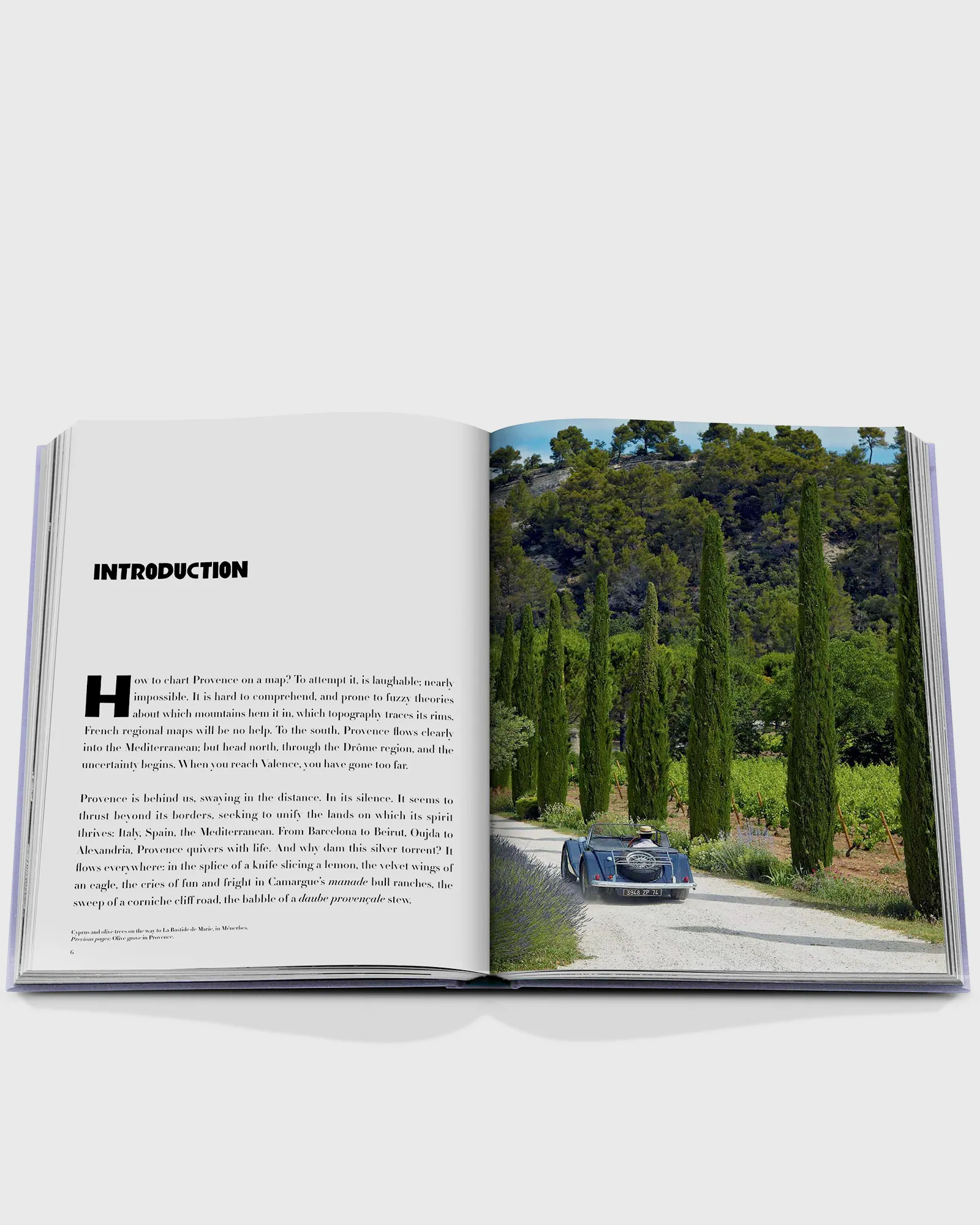 Assouline 