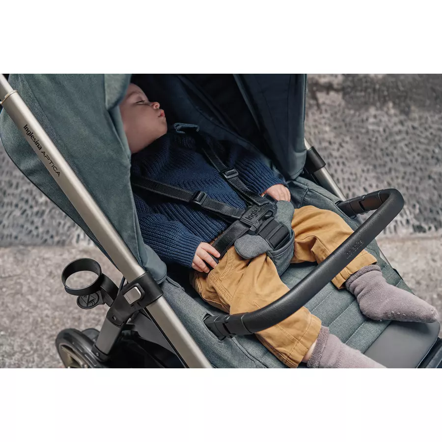 Inglesina Kinderwagen Aptica Duo Mystic Black Gestell Iridium