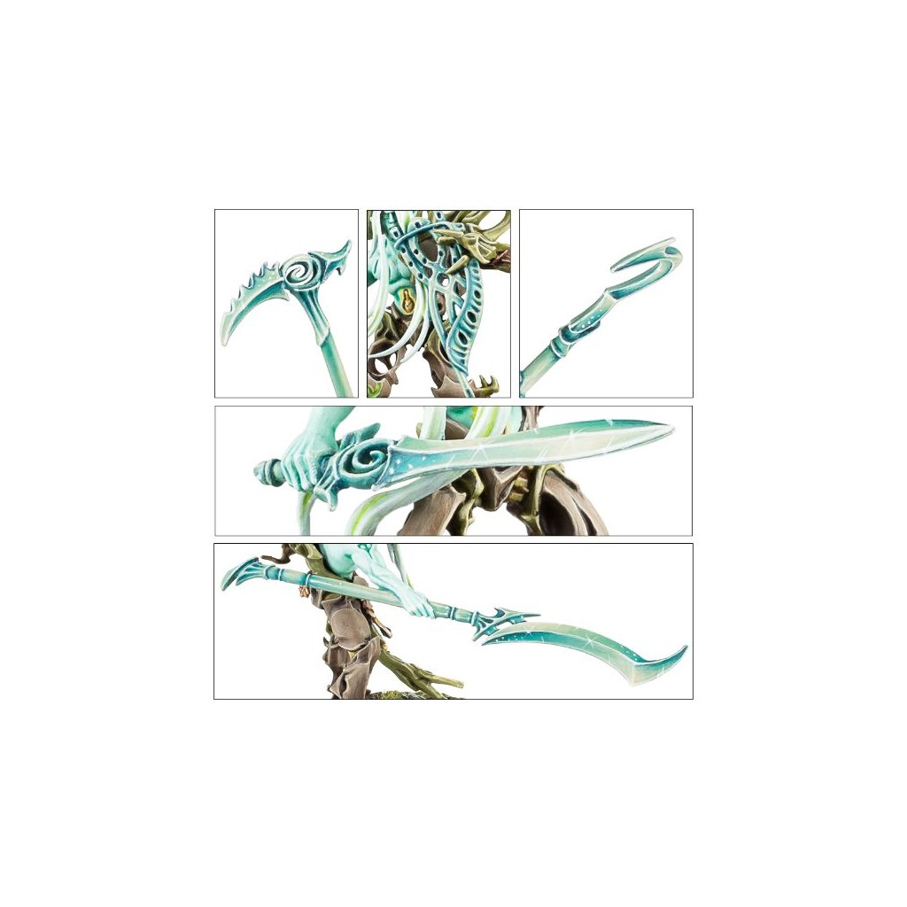 Age of Sigmar : Order - Sylvaneth Tree-Revenant