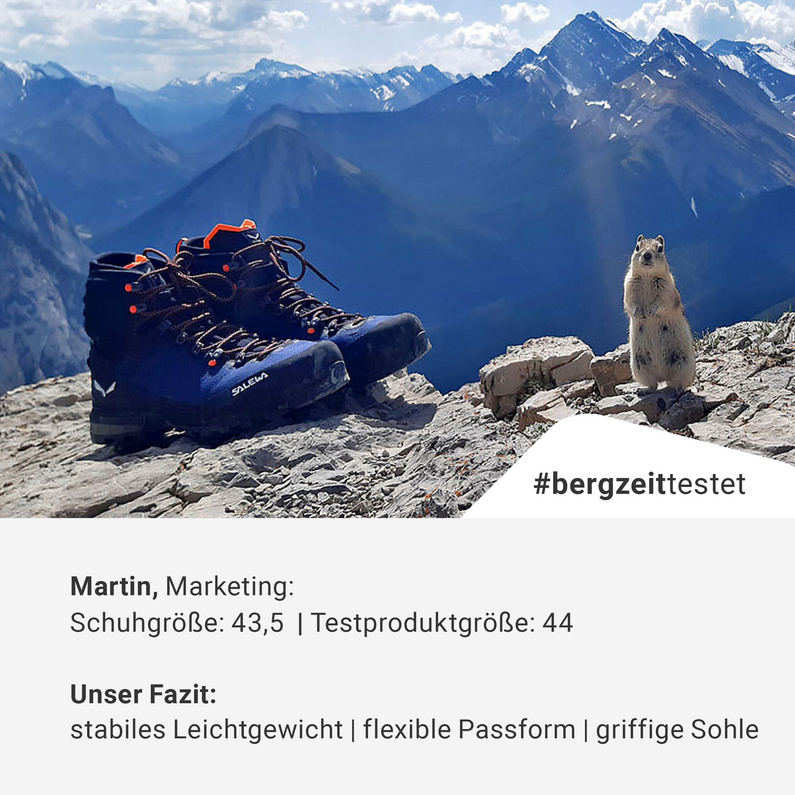 Salewa Herren Ortles Edge Mid GTX Schuhe