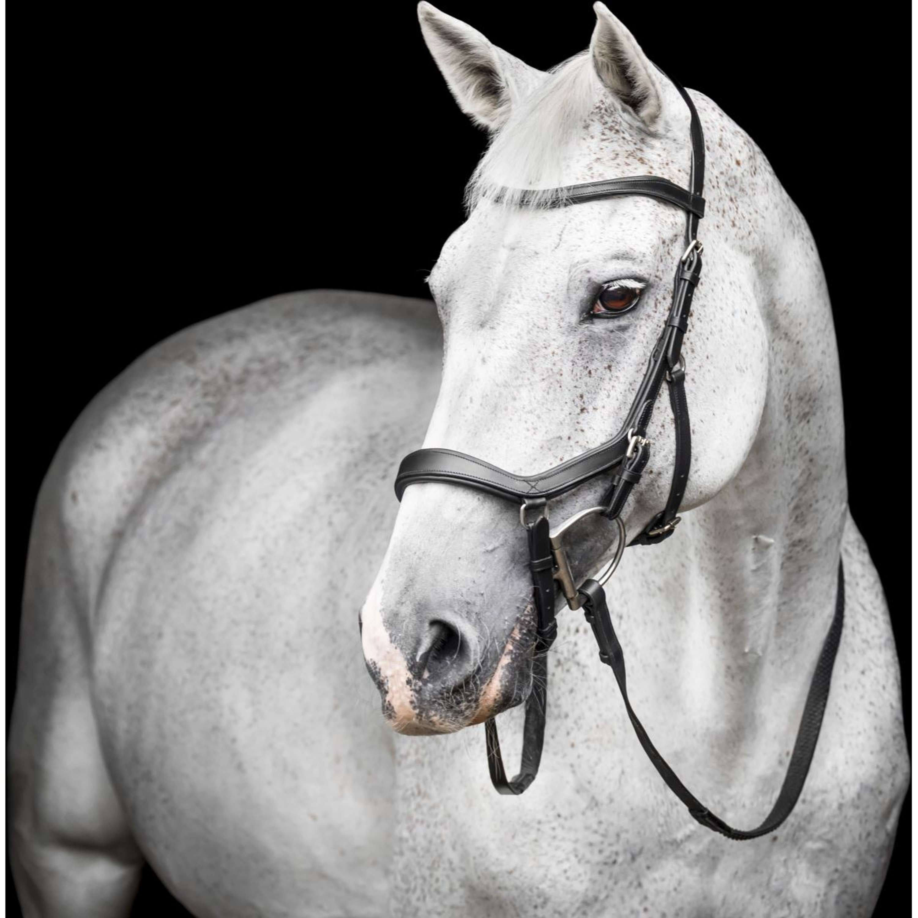 Horseware Micklem Competition Bridle Zwart