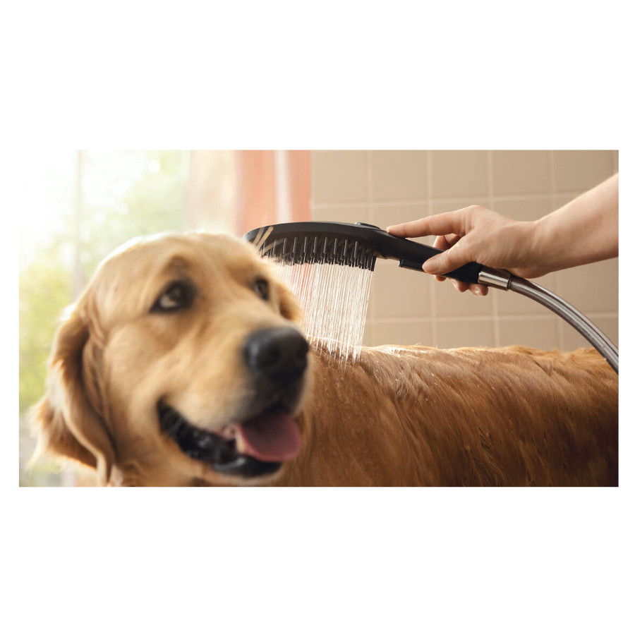 Chuveiro Hansgrohe Black Dog