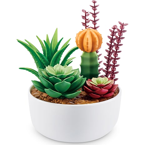 Botanical Garden Minis