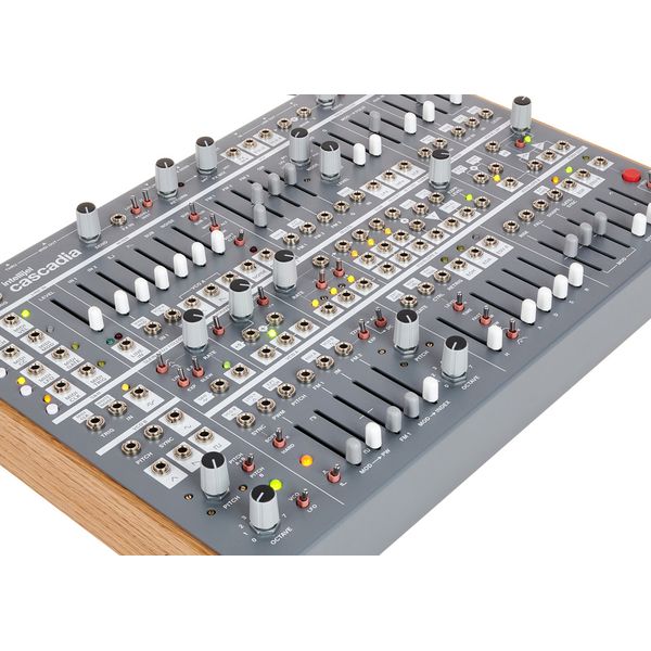 Intellijel Designs Cascadia