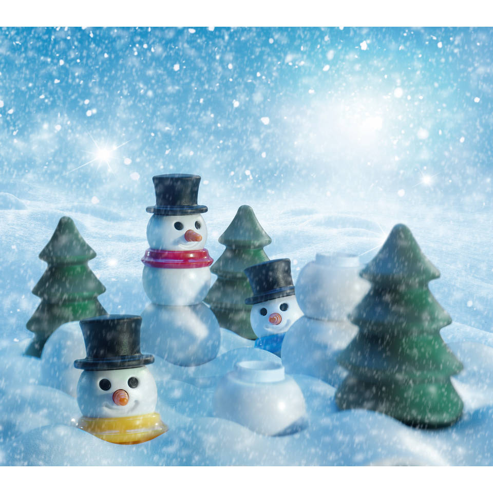 Snow Problem