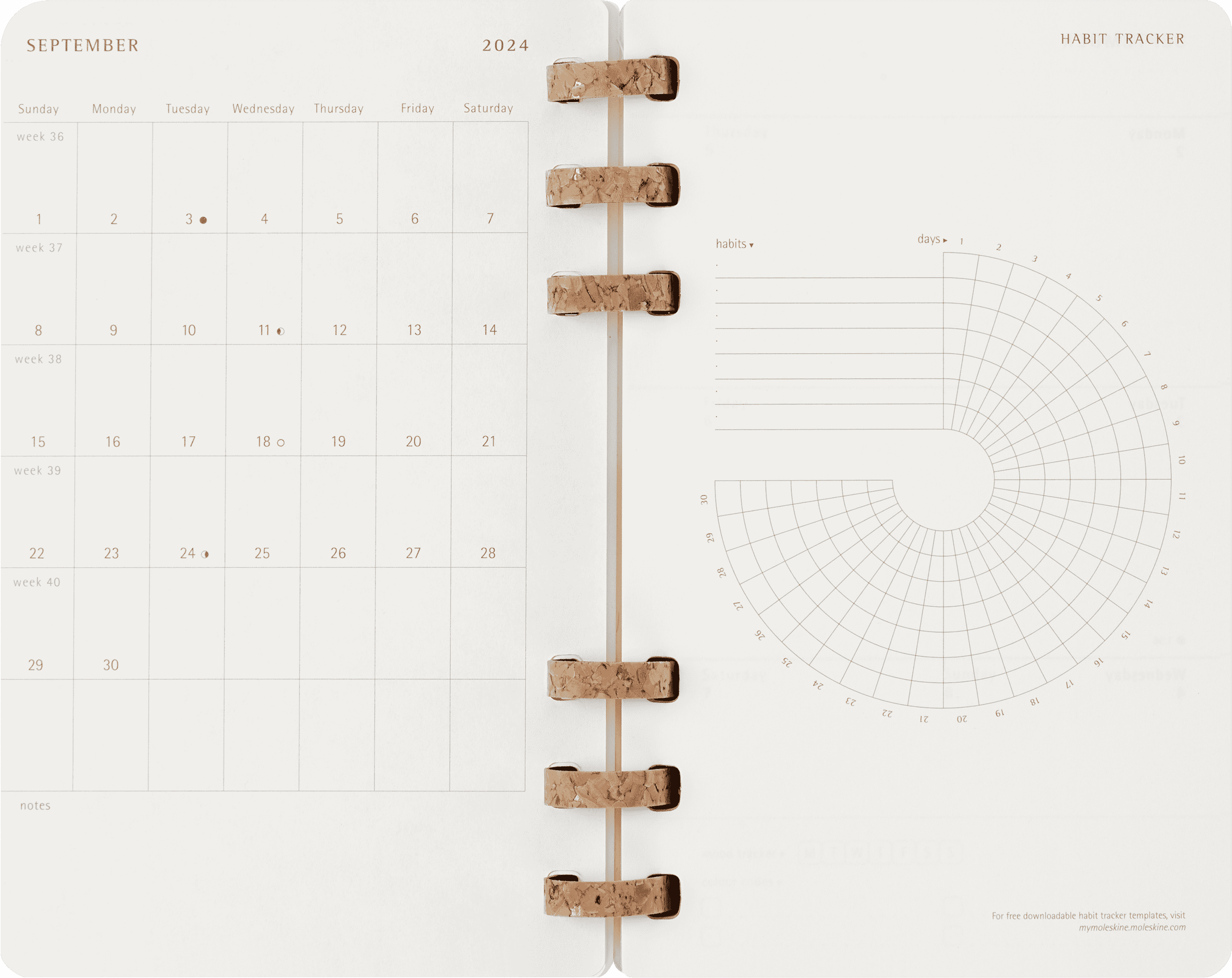 Student Life Planner 2024/2025 12-Month, Spiral