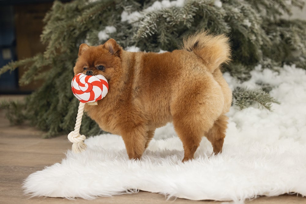 Beeztees hondenspeelgoed kerst lolly 25 x 12 x 5 cm