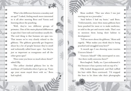 Lost on Gibbon Island (Paperback)