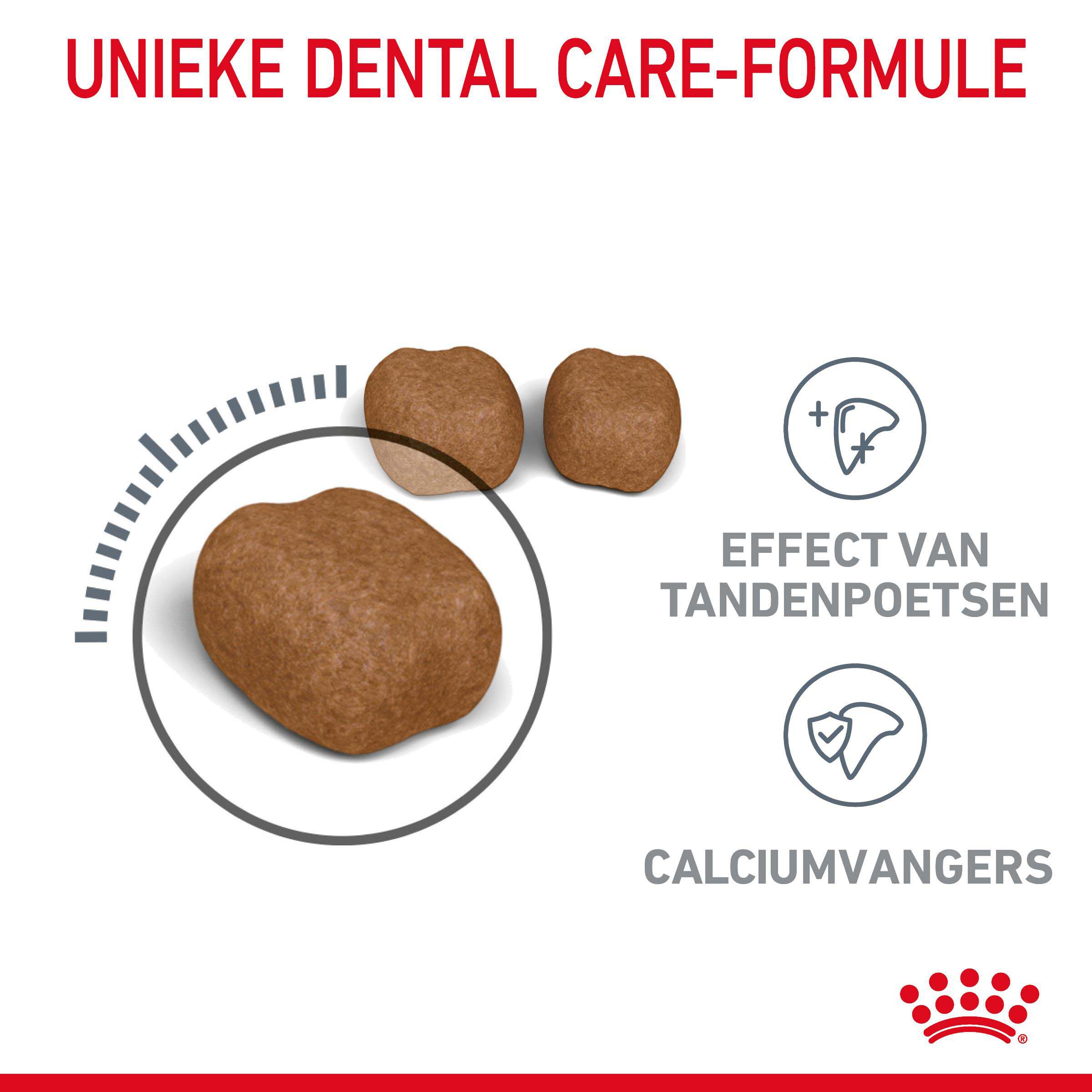 Royal Canin Dental Care - Kattenvoer - 3500 Gram - Gevogelte