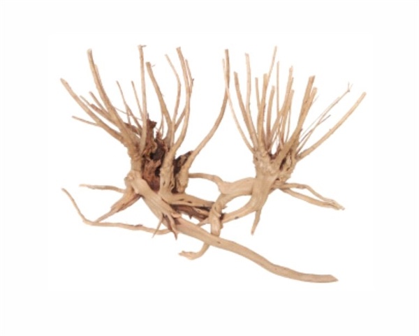 AquastoreXL Wabi Kusa Smal Hout Licht 7-18cm 2 stuks
