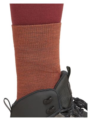 Chaussettes Femme Icebreaker Merino Hike  Marron
