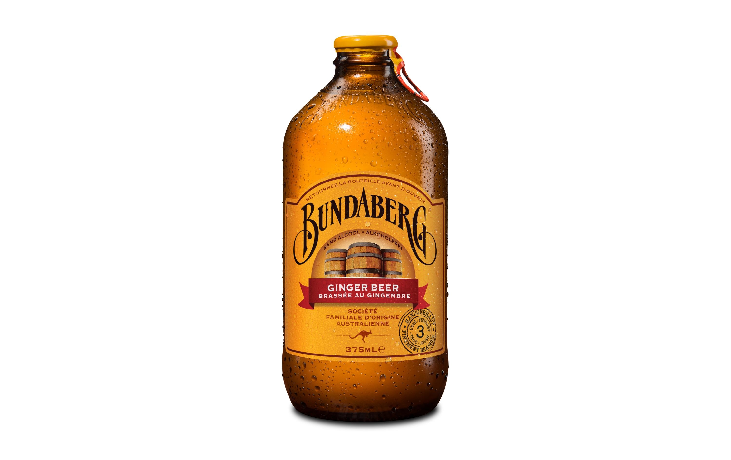 Ginger Beer 12 x 0.375 lAromatisches Ingwerbier