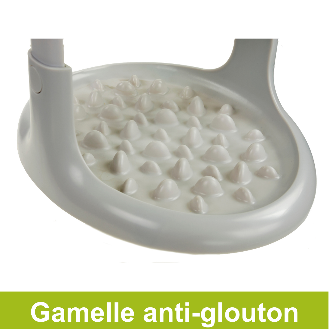 Distributeur pet slow feeder - gamelle anti-glouton