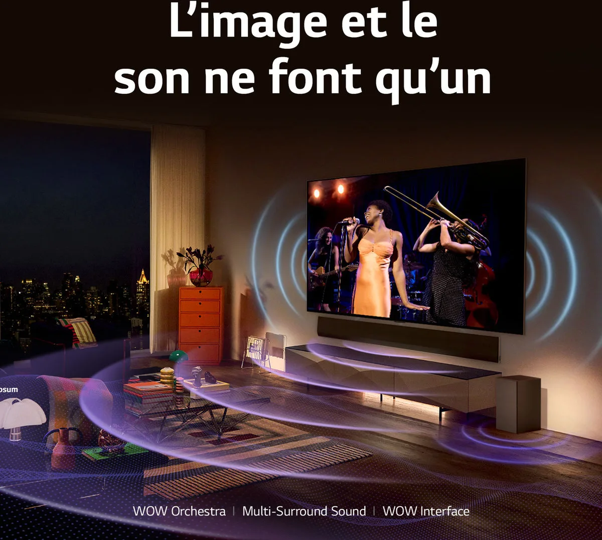 LG OLED83C4   S70TY TV OLED