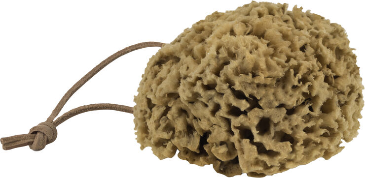 Mette Ditmer OCEAN Body sponge Dark