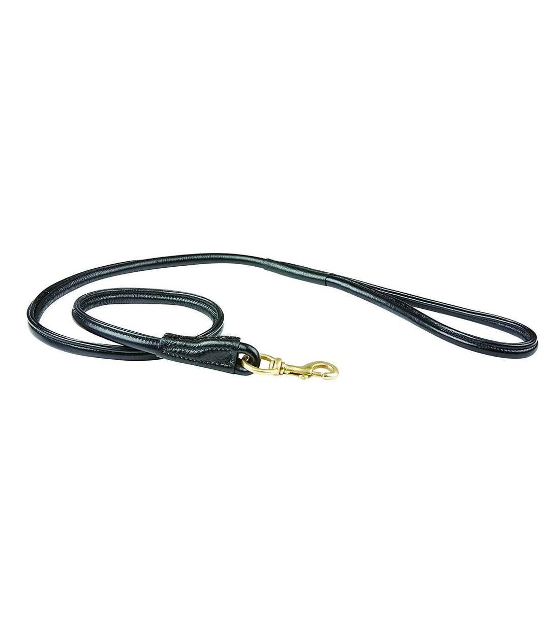 Weatherbeeta - Laisse de chien (Noir) (Taille unique) - UTWB1257