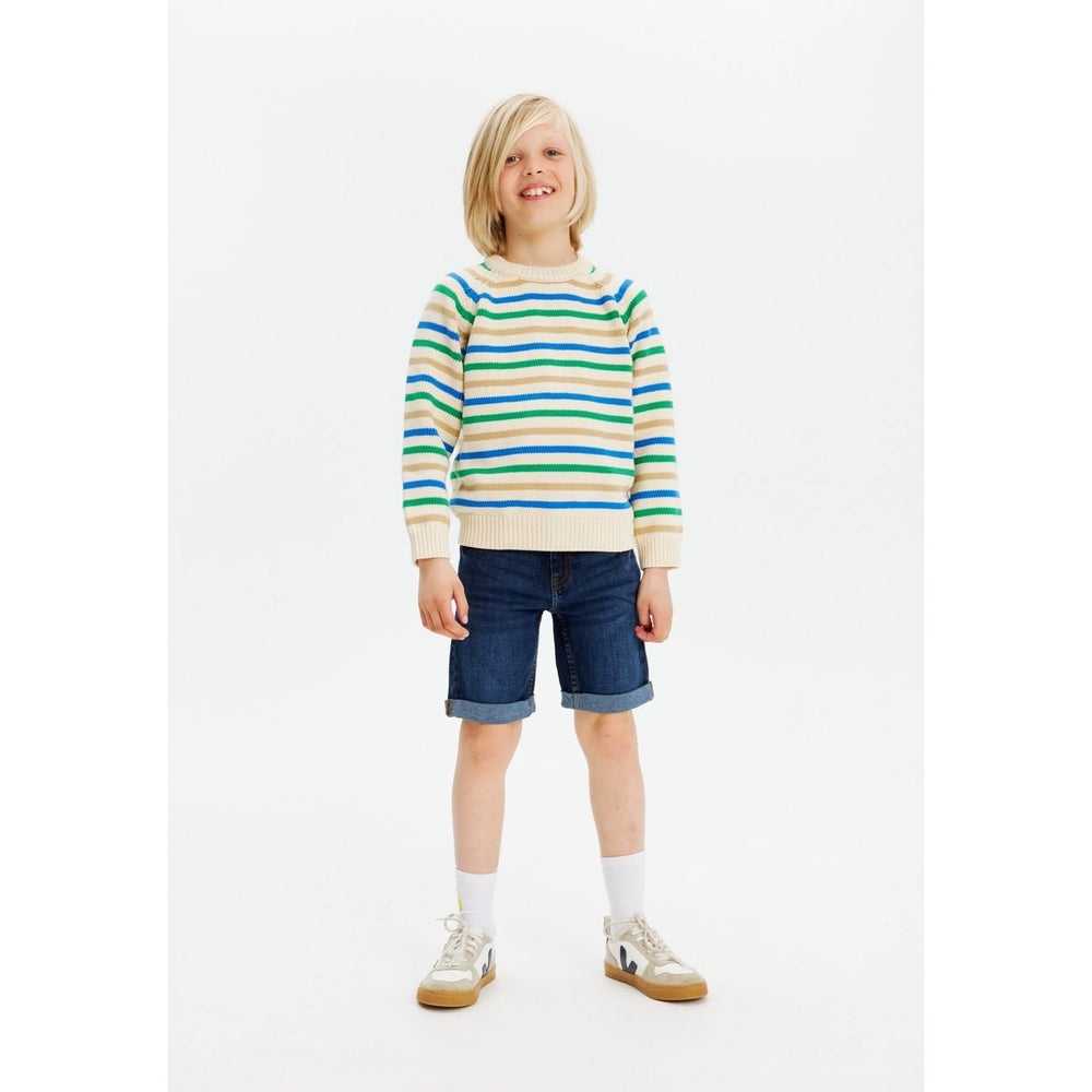 Køb The New Dark Blue Denim Shorts