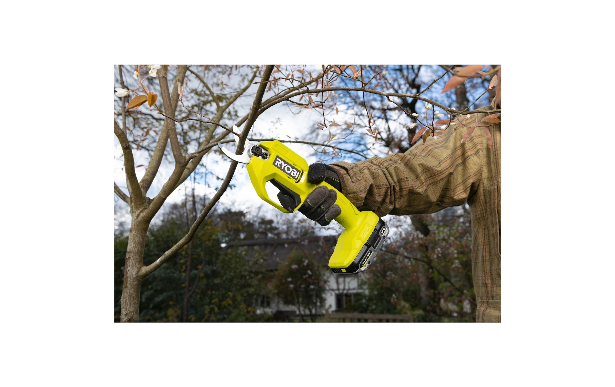Akku-Heckenschere »RYOBI RY18SCA-0« ()