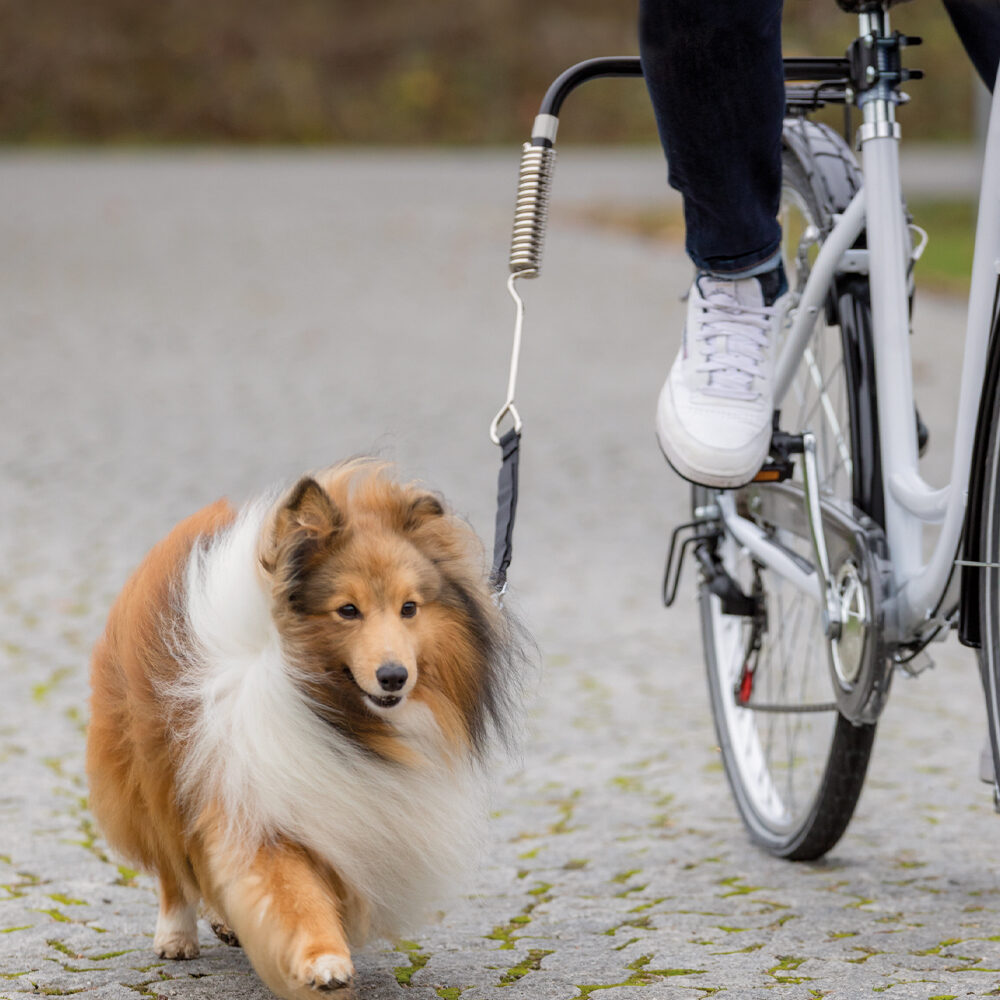 Trixie Fiets-Set U-Vorm