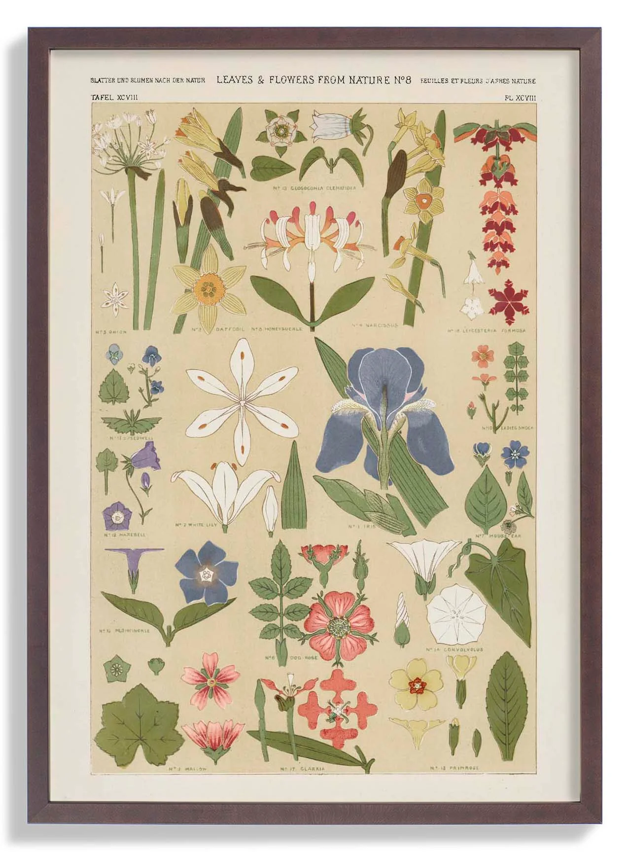 Leaves & Flowers Nr 8 von Owen Jones