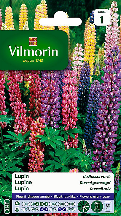Graines de Lupin de Russel Varié Vilmorin