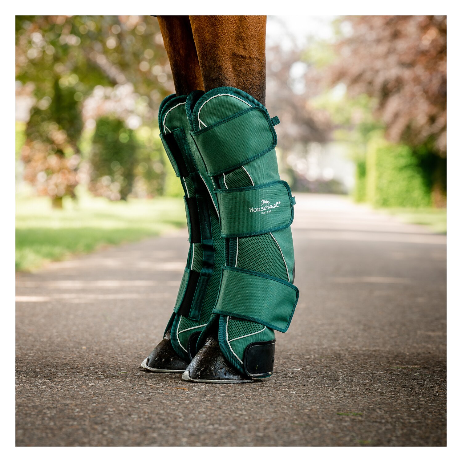 HORSEWARE Signature Transportgamaschen  - hunter green