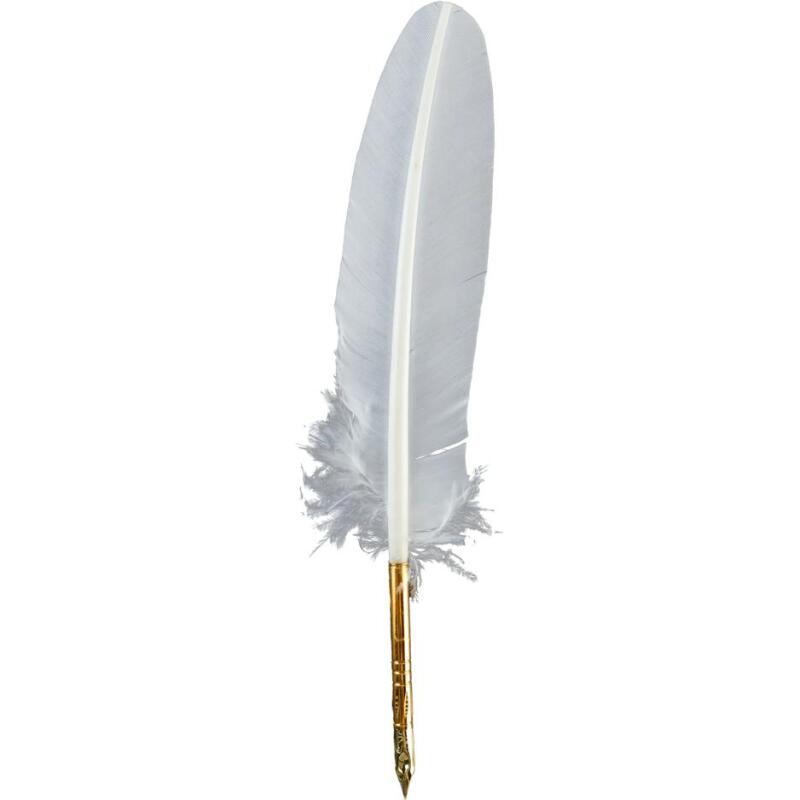 PLUME D'OIE+PLUME METAL SUR BROCH