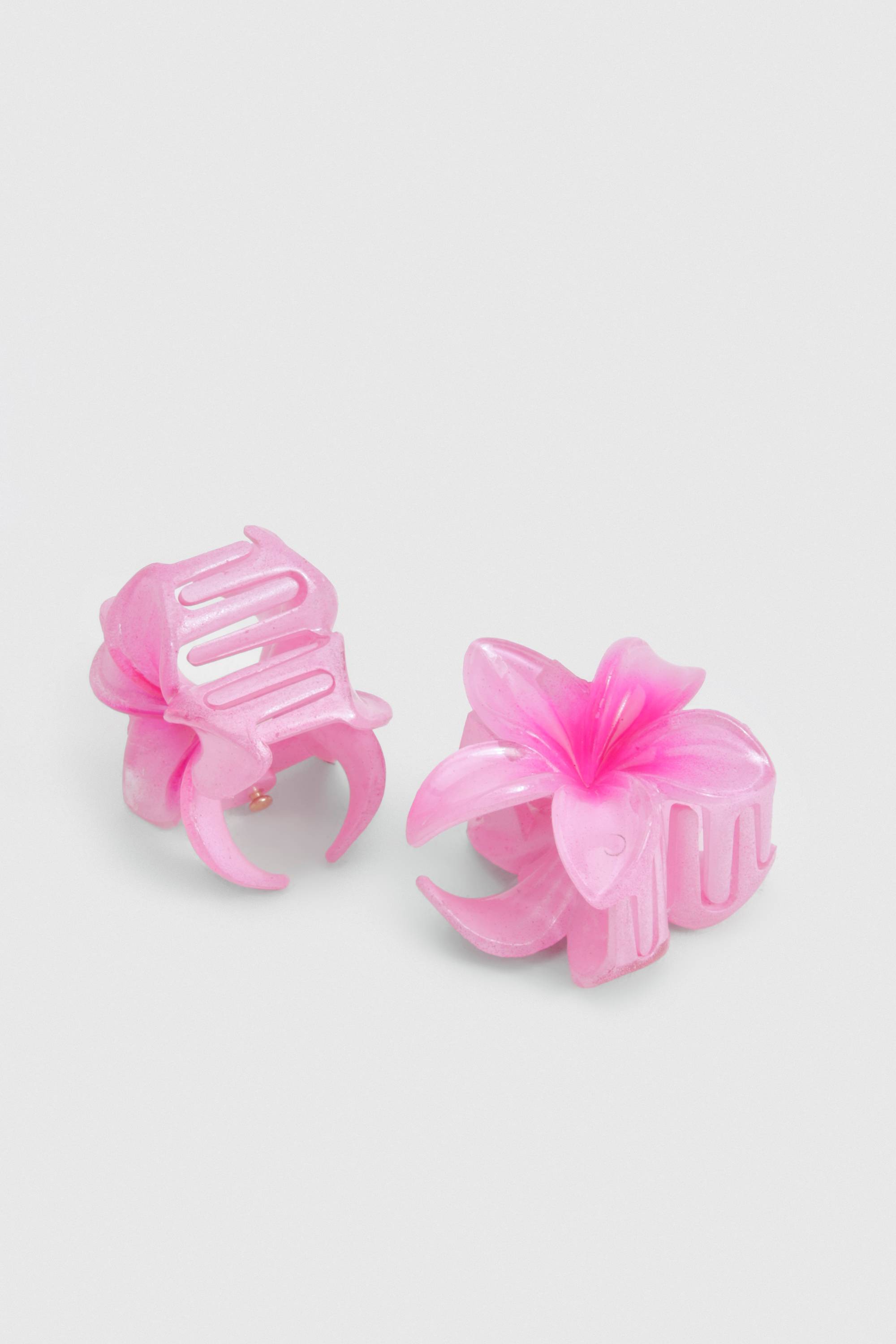 boohoo Petites Pinces à Cheveux Fleurs 2 Pièces