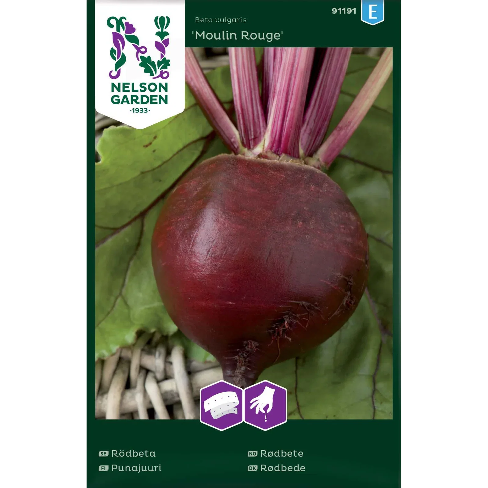 Beta vulgaris 'Moulin Rouge' Rødbete 'Moulin Rouge'