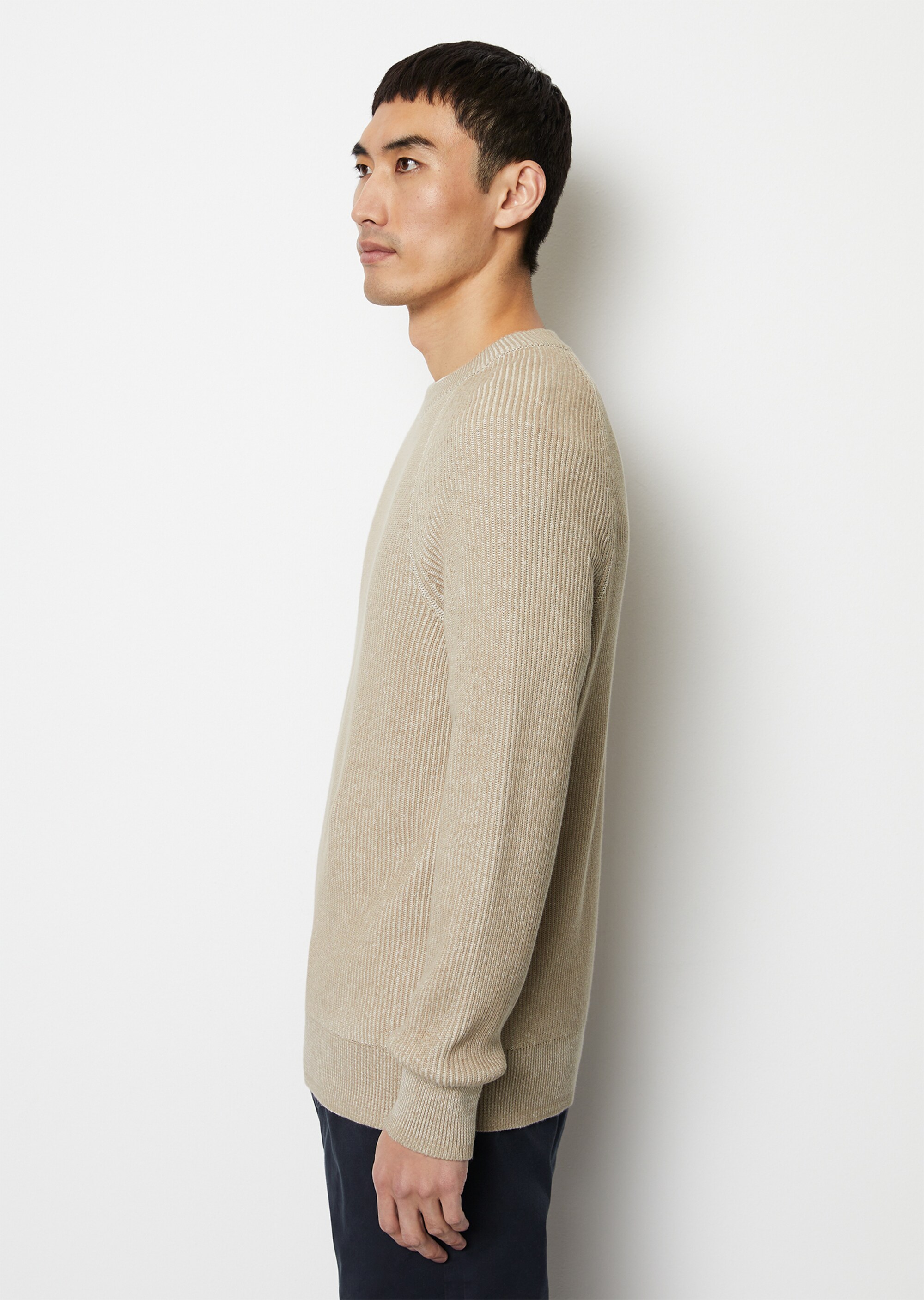 Pullover regular aus reiner Bio-Baumwolle