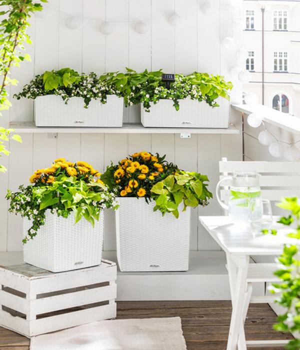 LECHUZA® Kunststoff-Topf Cube Cottage,