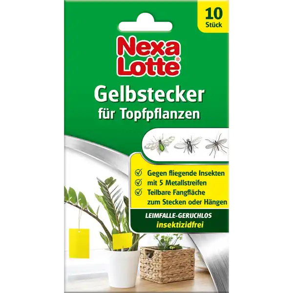 Gelbstecker für Topfpflanzen