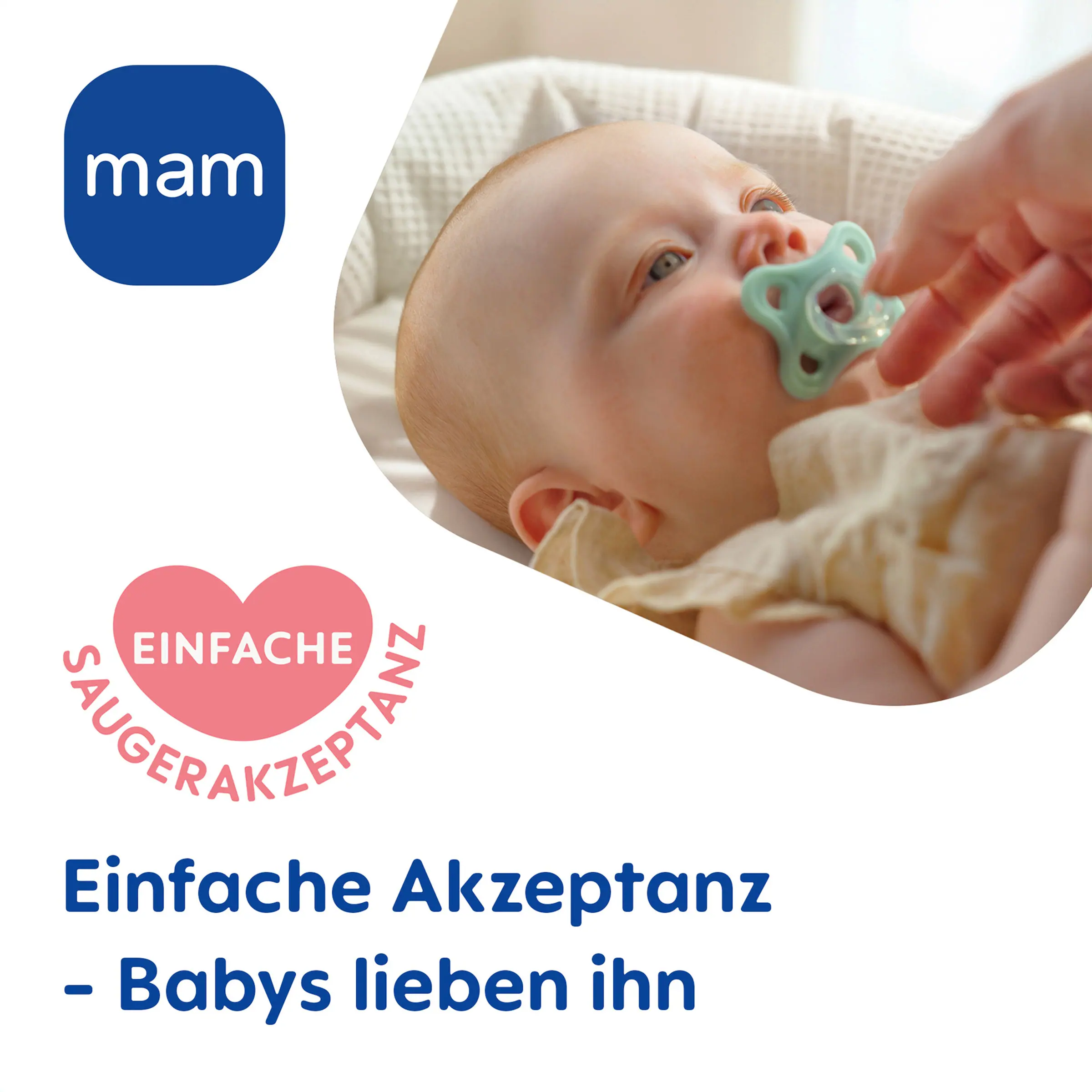 MAM 2er-Pack Schnuller Comfort Silikon 3-12M pink, türkis