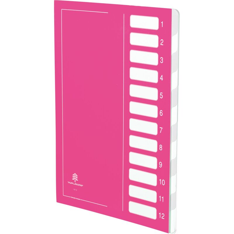 Pack 2 trieurs carte Extendos 12 divisions + 1 offert