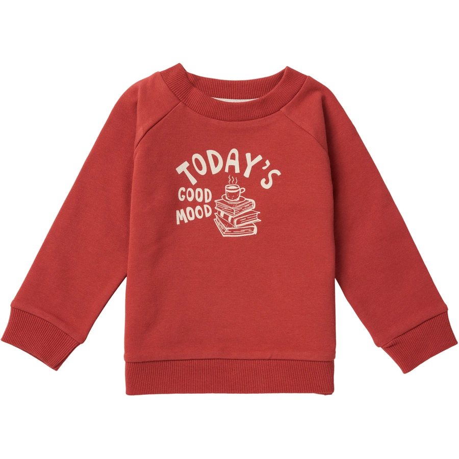 Noppies Pullover Toast Tandori Spice