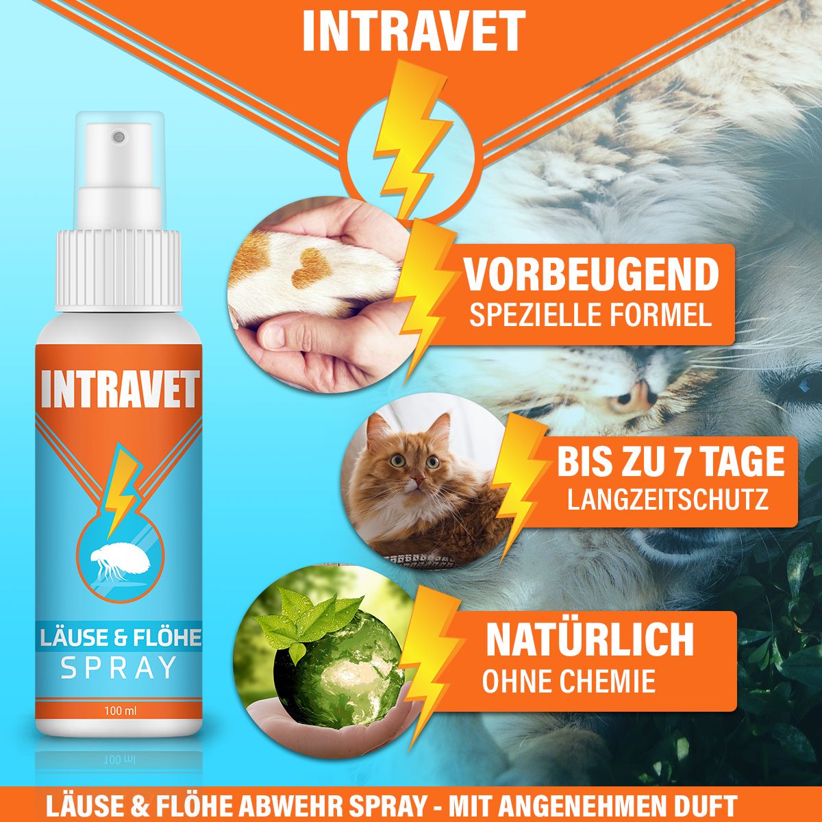 Saint Nutrition® Intravet | Läuse & Flöhe Spray | Hund & Katze