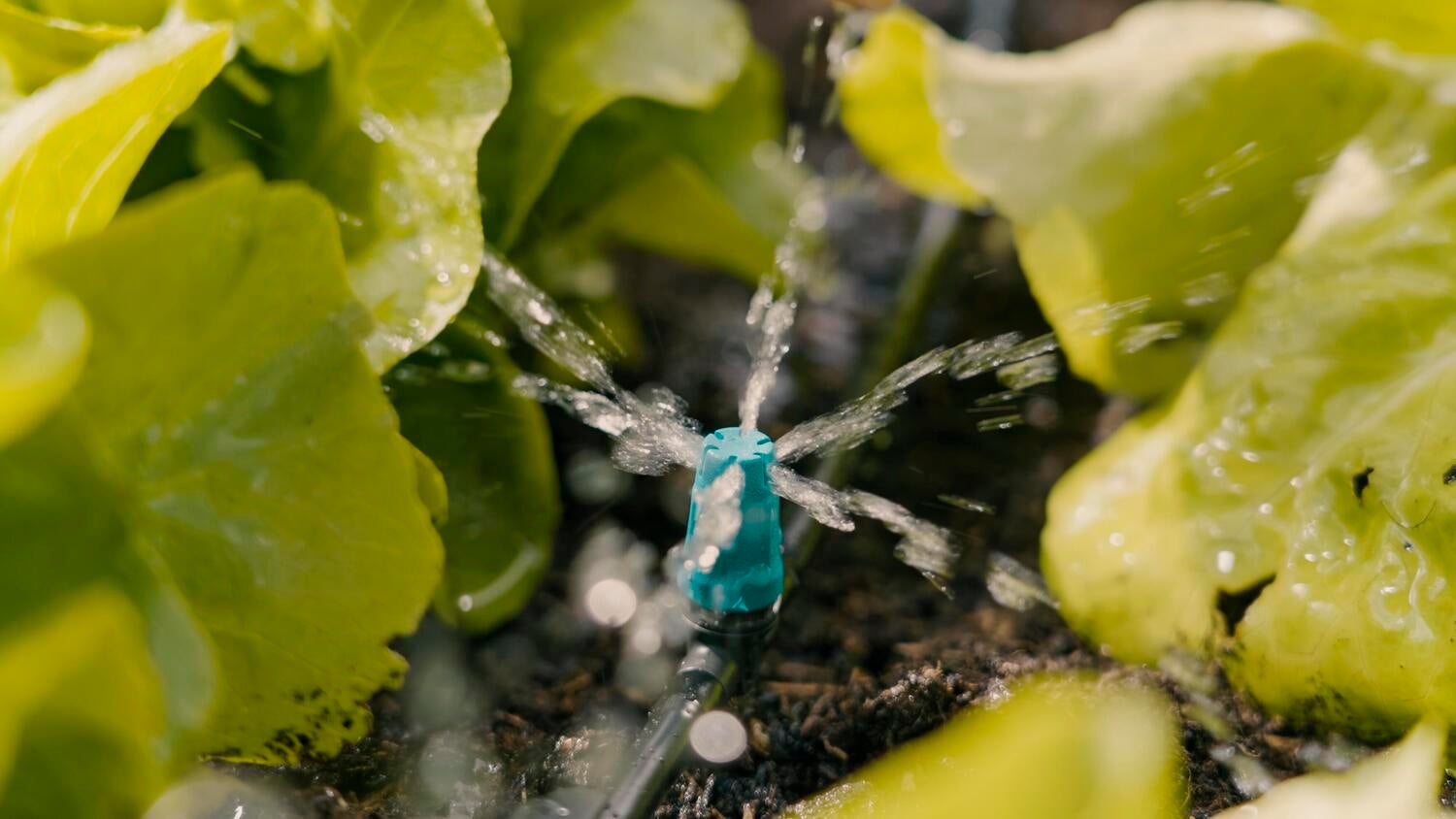 Gardena Micro Drip systeem T-sproeier kleine oppervlakte