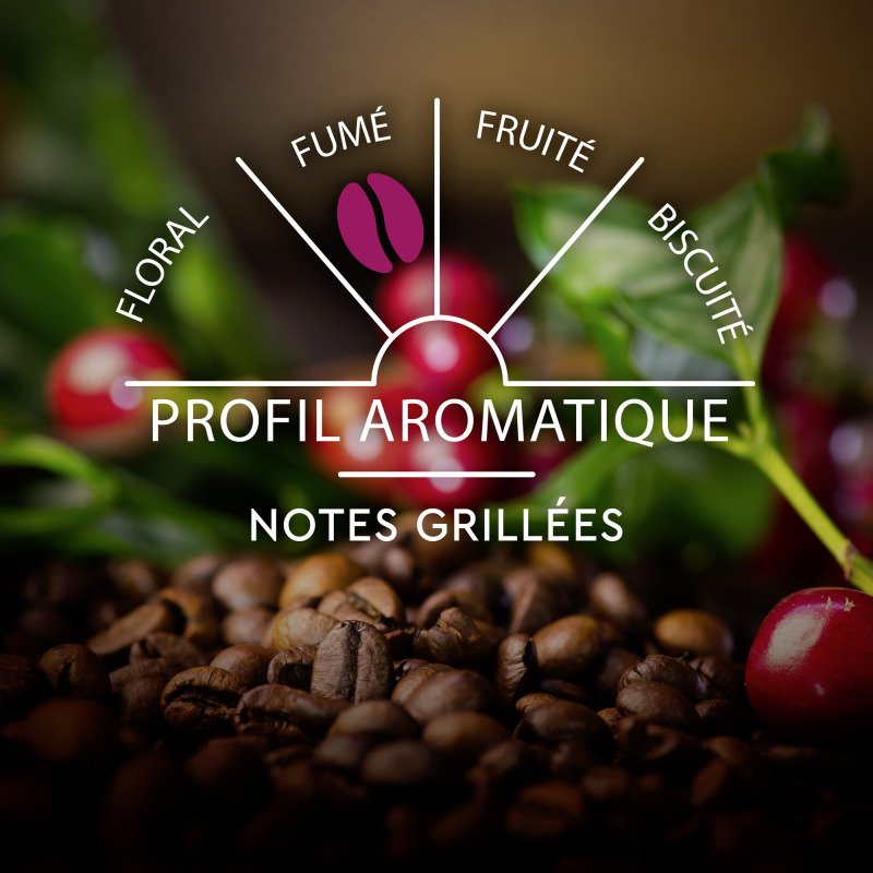 Capsules de café Carte Noire Intense N° 9 - Boîte de 60