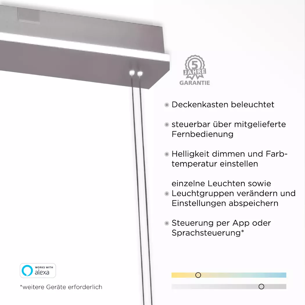 LED-Pendelleuchte Q-Etienne