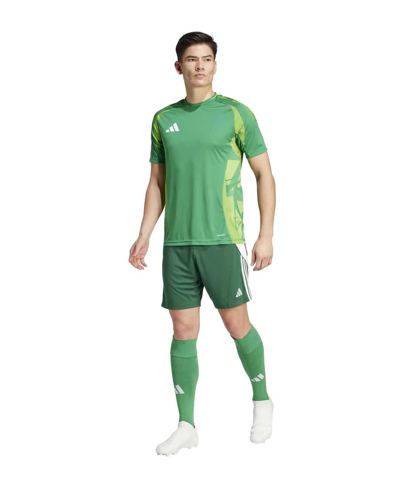 adidas Tiro 24 Short Grün Weiss