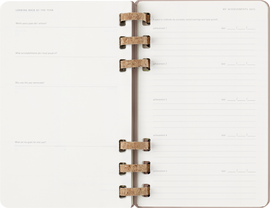 Life Planner 2025 L 12-Month, Spiral