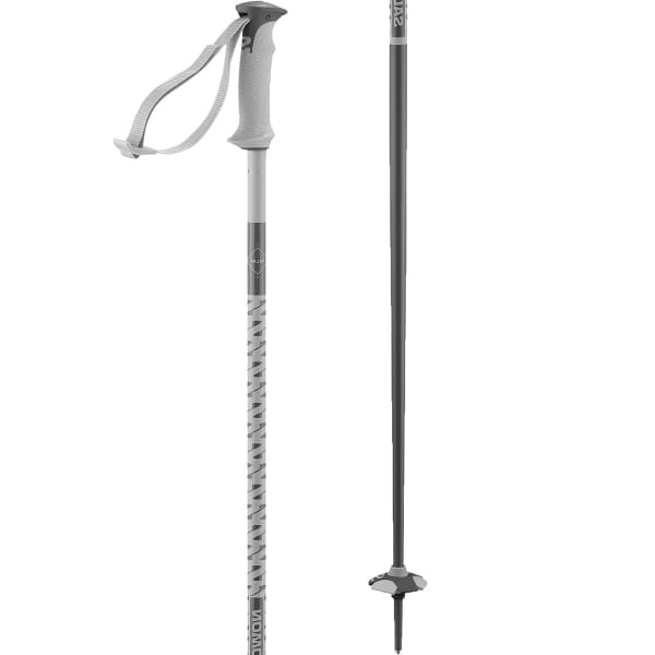 Bâton de ski SALOMON POLAR GREY VIOLET