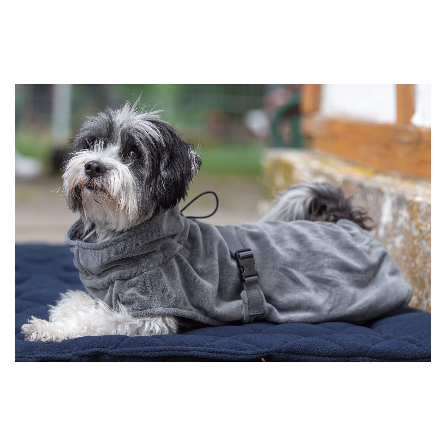 pawberry Hundeplatzdecke Fleece  - darkblue