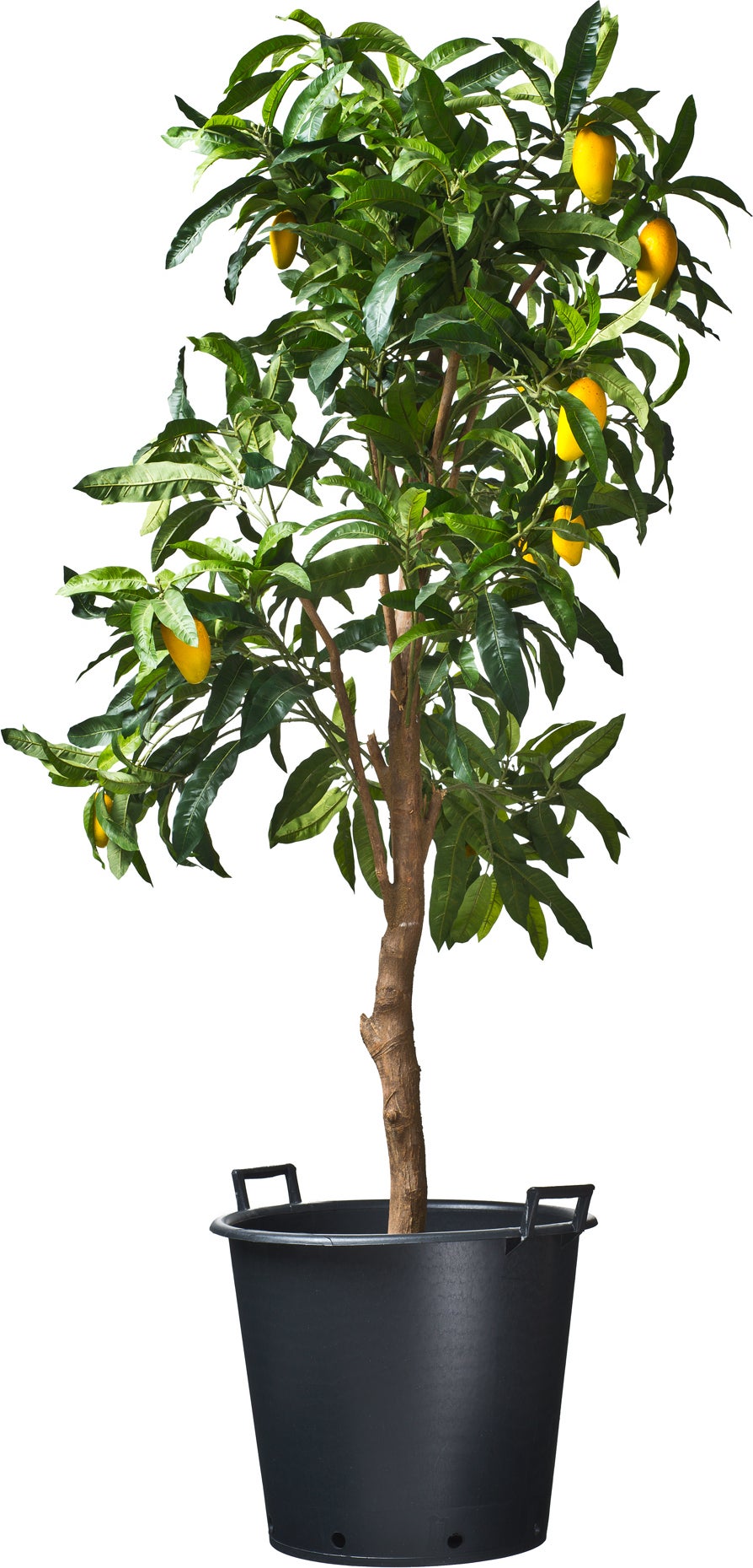 Ritzi plantcontainer 35 L D 45 cm zwart