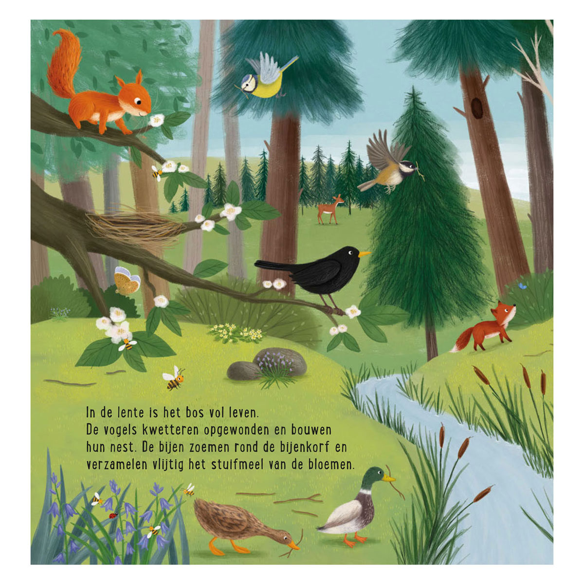 Mijn Eerste Zoekboek - Dieren In het Bos