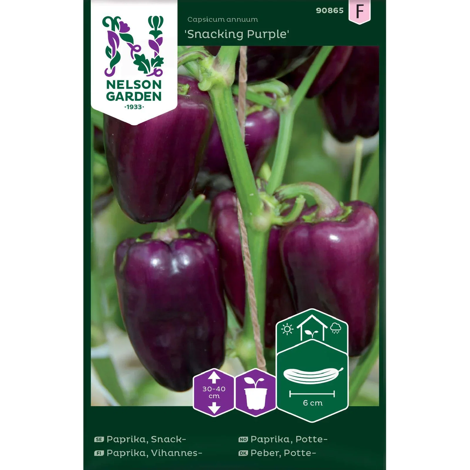 Capsicum annuum 'Snacking Purple' Pottepaprika 'Snacking Purple'